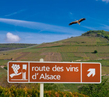 Vins d'Alsace